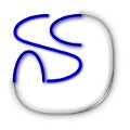 Support Center for Advanced Neuroimaging